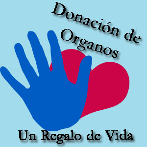 Promueven una ley para proteger a las personas trasplantadas